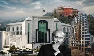 مونال، نسلہ اور بھٹو کی پھانسی: سپریم کورٹ کے وہ فیصلے جو وقت کے ساتھ بدل گئے مونال، نسلہ اور بھٹو کی پھانسی: سپریم کورٹ کے وہ فیصلے جو وقت کے ساتھ بدل گئے
