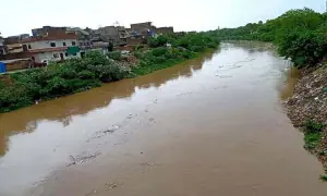 Father, son swept away in Nullah Lai; search underway Father, son swept away in Nullah Lai; search underway