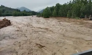 پنجاب کے دریاؤں اور ندی نالوں میں سیلاب کا خدشہ، پی ڈی ایم اے کا الرٹ جاری پنجاب کے دریاؤں اور ندی نالوں میں سیلاب کا خدشہ، پی ڈی ایم اے کا الرٹ جاری