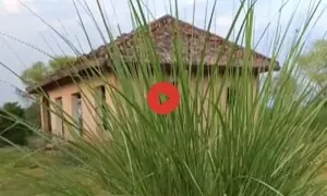پنجاب کا انوائرنمنٹ پارک کھنڈر کیوں بنا؟ پنجاب کا انوائرنمنٹ پارک کھنڈر کیوں بنا؟