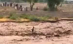 خیبرپختونخوا اور آزاد کشمیر میں سیلابی ریلوں سے تباہی اور ہلاکتوں کے بعد مزید بارشوں کی پیش گوئی خیبرپختونخوا اور آزاد کشمیر میں سیلابی ریلوں سے تباہی اور ہلاکتوں کے بعد مزید بارشوں کی پیش گوئی