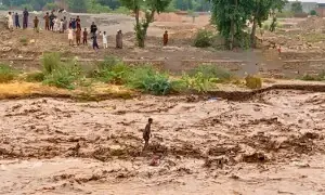 خیبرپختونخوا اور آزاد کشمیر میں سیلابی ریلوں سے تباہی اور ہلاکتوں کے بعد مزید بارشوں کی پیش گوئی خیبرپختونخوا اور آزاد کشمیر میں سیلابی ریلوں سے تباہی اور ہلاکتوں کے بعد مزید بارشوں کی پیش گوئی