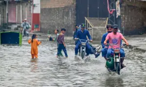 پنجاب: بارش کے پانی میں نہانے پر پابندی عائد پنجاب: بارش کے پانی میں نہانے پر پابندی عائد