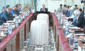 PM Shehbaz calls for refinery upgrades to cut fuel import bill