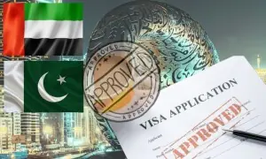 یو اے ای نے پاکستانیوں کے لیے وزٹ ویزا میں آسانیاں کردیں یو اے ای نے پاکستانیوں کے لیے وزٹ ویزا میں آسانیاں کردیں