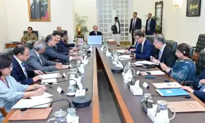 Shehbaz orders roadmap for private equity fund to boost investment
