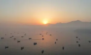 Iran, Oman near Strait of Hormuz deal amid US concerns: NYT report
