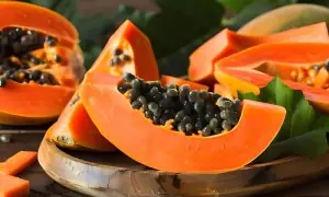 برسات کے موسم میں پپیتا کیوں ہے صحت کا خزانہ؟ جانیں حیران کن فوائد برسات کے موسم میں پپیتا کیوں ہے صحت کا خزانہ؟ جانیں حیران کن فوائد