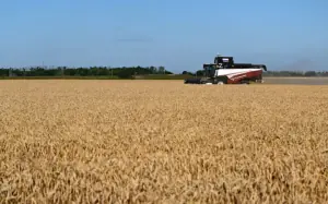 Decades of farm gains, inventories strengthen food system against 'super' El Nino Decades of farm gains, inventories strengthen food system against 'super' El Nino