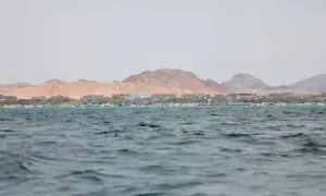 Three Pakistanis among six killed in Houthi strike on Red Sea ship