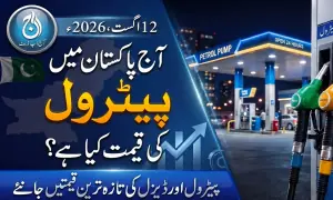 آج پاکستان میں پیٹرول اور ڈیزل کی قیمت کیا ہے؟ آج پاکستان میں پیٹرول اور ڈیزل کی قیمت کیا ہے؟
