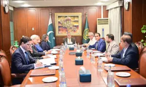 FM Dar directs intensified diplomatic efforts for safe, early release of 10 Pakistani hostages