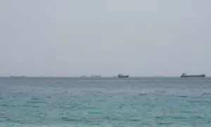 Shipping slows through Strait of Hormuz after tanker attacks