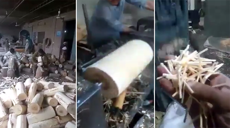 How Match sticks made | Aaj News