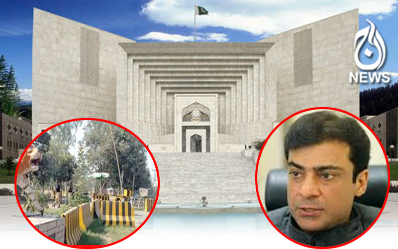 Barriers to be removed from Hamza Shehbaz house immediately, SC orders | Aaj News