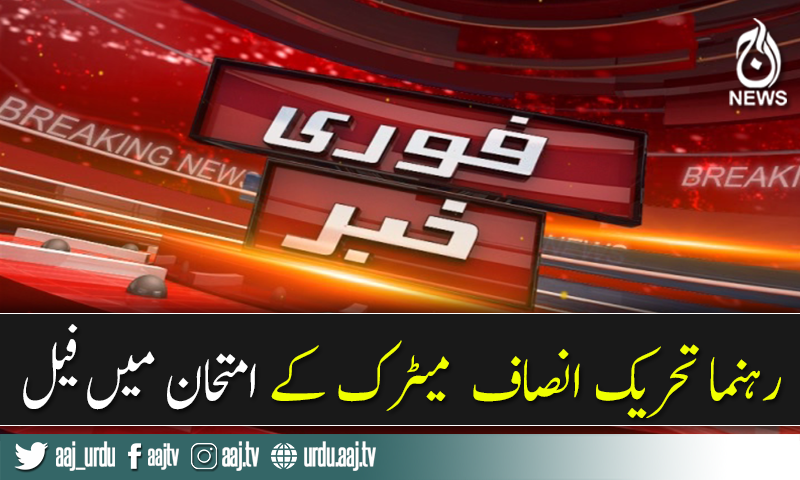 PTI MPA Punjab Assembly Metric main Fail