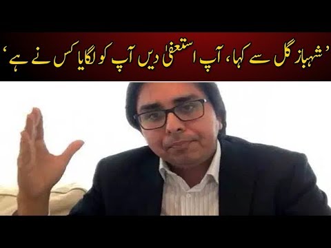 شہباز گل سے کہا ، آپ استعفیٰ دیں آپ کو لگایا کس نے ہے : جاوید عباسی