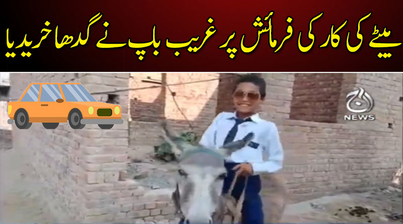 بیٹے کی کار کی فرمائش لیکن غریب باپ نے گدھا خریددیا ۔۔۔