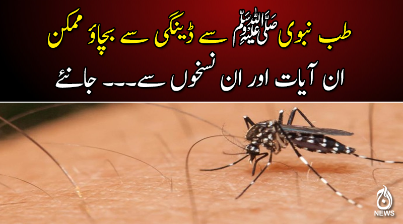 طب نبویﷺ سے ڈینگی سے بچاؤ ممکن