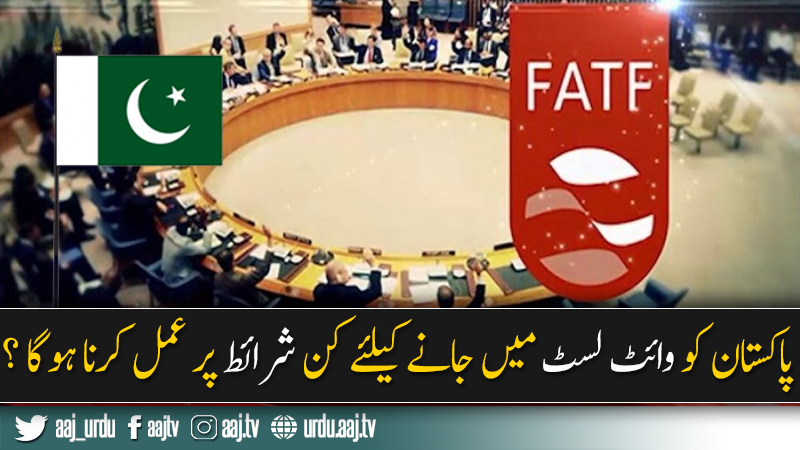 عمران خان کی حکومت سے پہلے کچھ نہیں ہو پایا، نواز شریف کرسی بچاؤ تحریک میں مصروف تھے : ہما بقائی