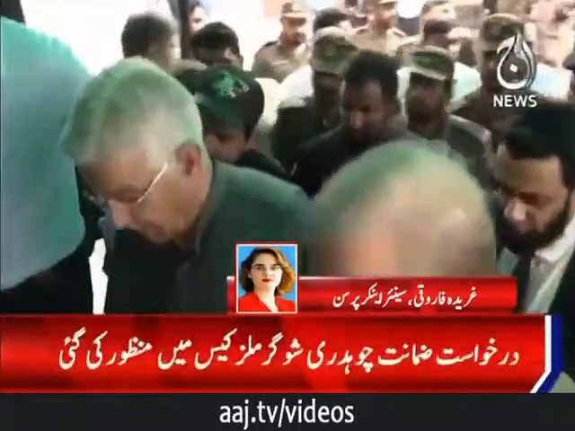 نوا زشریف کی ضمانت پر غریدہ فاروقی کا ردعمل