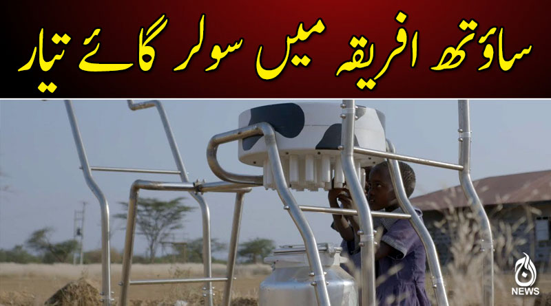 سولر گائے بچوں کو اسکول لانے کا ذریعہ