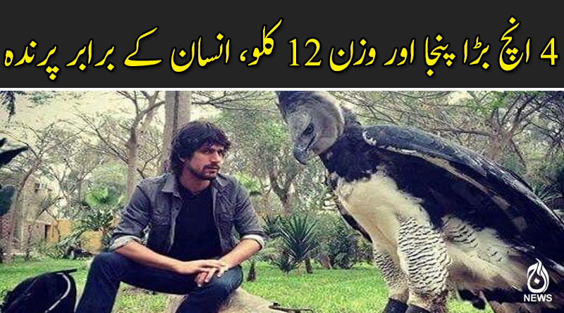 دنیا بھر سے دلچسپ اور عجیب خبریں