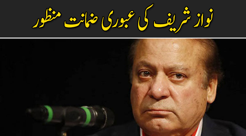 سابق وزیر اعظم نواز شریف کی عبوری ضمانت منظور
