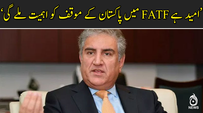 امید ہے ایف اے ٹی ایف میں پاکستان کے موقف کو اہمیت ملے گی : وزیر خارجہ