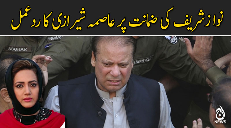 نوازشریف کی ضمانت پر عاصمہ شیرازی کا ردعمل