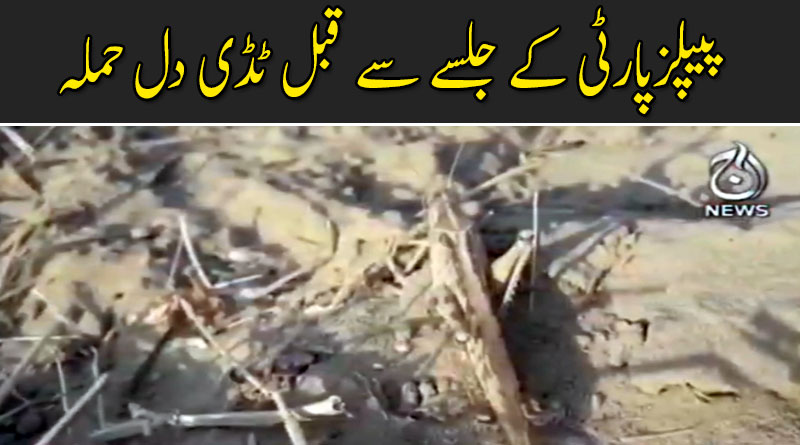 اسلام کوٹ: پیپلزپارٹی کے جلسے سے قبل ٹڈی دل حملہ