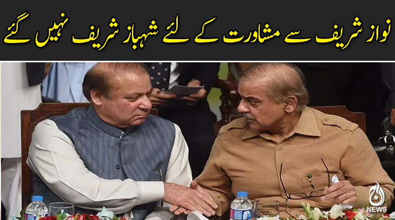 مولانا کا آزادی مارچ، نواز شریف سے مشاورت کے لئے شہباز شریف نہیں گئے