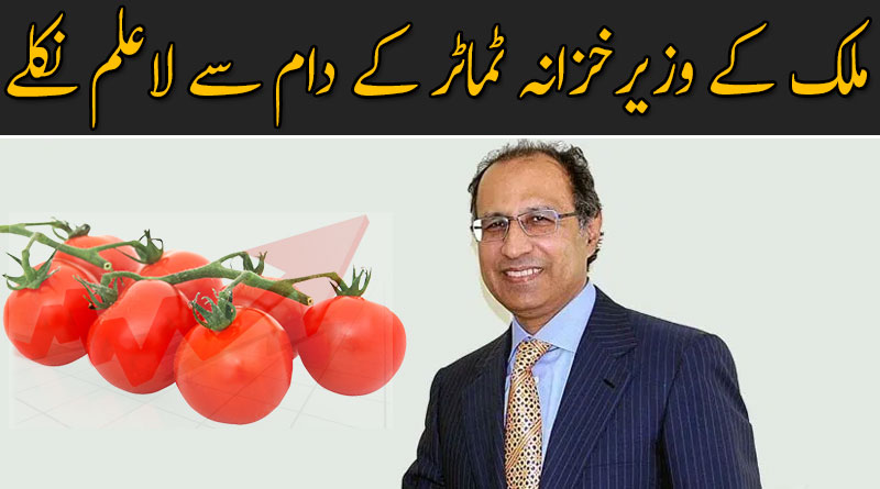 ملک کے وزیر خزانہ حفیظ شیخ ٹماٹر کے دام سے لاعلم نکلے