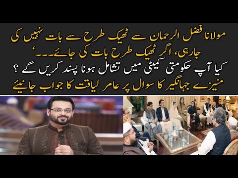 کیا آپ حکومتی کمیٹی میں شامل ہونا پسند کریں گے ؟ منیزے کے سوال پر عامر لیاقت کا جواب