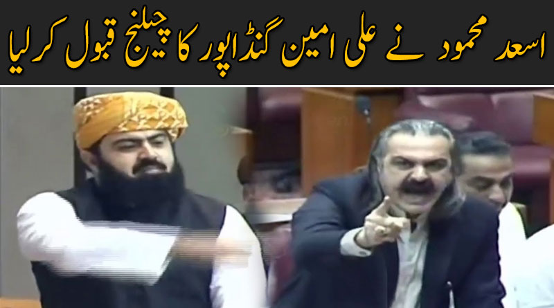 اسعد محمود  نے علی امین گنڈاپور کا چیلنج قبول کرلیا