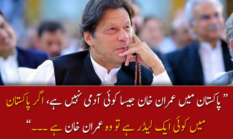 اگر پاکستان  میں کوئی ایک لیڈر ہے تو وہ عمران خان ہے ؛ فواد چوہدری