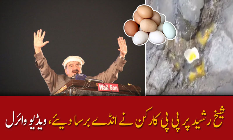 شیخ رشید پر پی پی کارکن نے انڈے برسا دیئے، ویڈیو وائرل