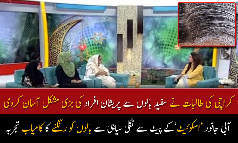 آبی جانور &lsquo;اسکوئیٹ&rsquo;کے پیٹ سے نکلی سیاہی سے بالوں کو رنگنے کا کامیاب تجربہ