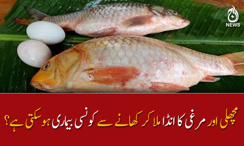 مچھلی اور مرغی کا انڈا ملا کر کھانے سے کونسی بیماری ہوسکتی ہے؟