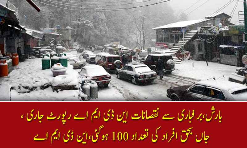 بارش،برفباری سے نقصانات این ڈی ایم اے رپورٹ جاری