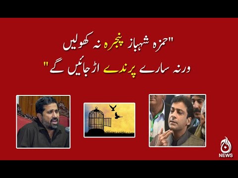 "حمزہ شہباز پنجرہ نہ کھولیں ورنہ سارے پرندے اڑجائیں گے"