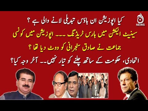 اپوزیشن میں کونسی جماعت نے صادق سنجرانی کو ووٹ دیا تھا ؟