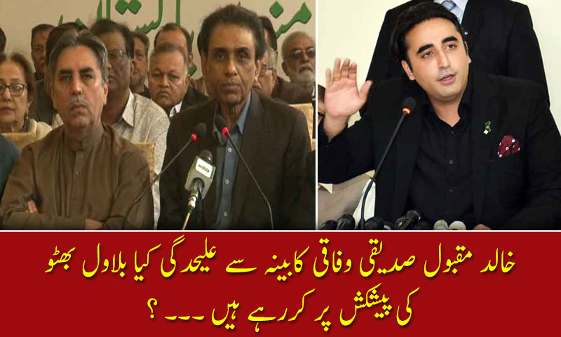 خالد مقبول صدیقی وفاقی کابینہ سے علیحدگی کیا بلاول بھٹو کی پیشکش پر کررہے ہیں؟