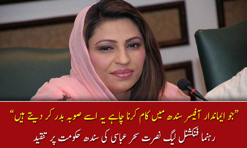 رہنما فنکشنل لیگ نصرت سحر عباسی کی سندھ حکومت پر تنقید