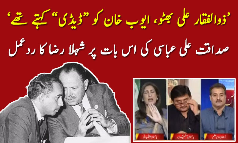 صداقت علی عباسی کی بات پر شہلا رضا کا ردعمل