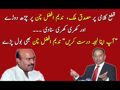 ندیم افضل چن اور مصدق ملک کے درمیان تلخ کلامی
