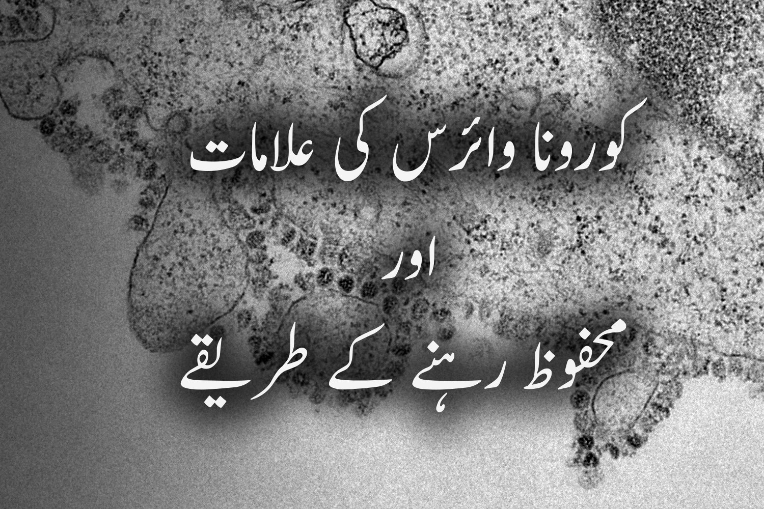 کورونا وائرس کی پہچان اوراس محفوظ رہنے کے طریقے۔۔۔