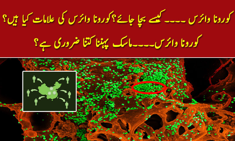 کورونا وائرس ۔۔۔۔کیسے بچا جائے؟