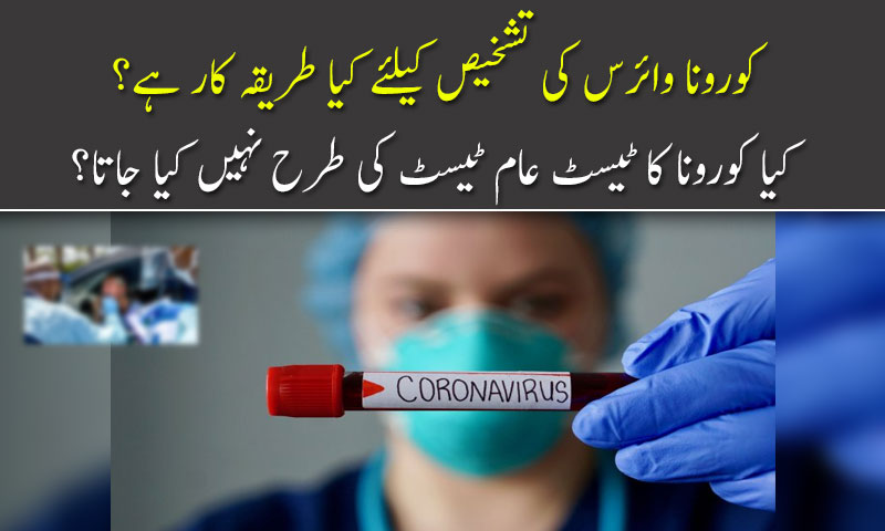 What is the procedure for diagnosing corona virus?