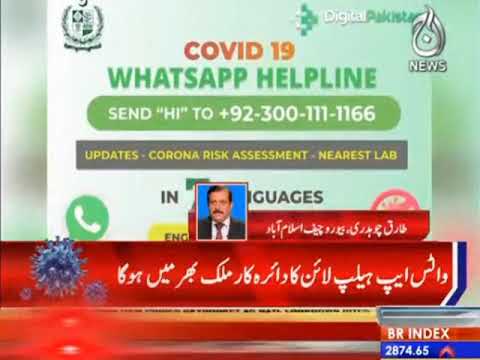 Corona ki update kay liye maqami zabano ki whatsapp helpline mutarif